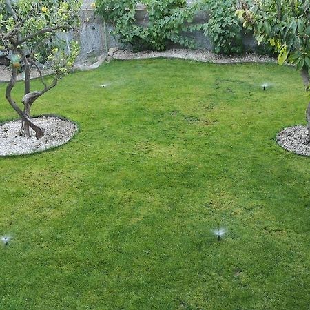 Souterrain Fuer Max 2 P., Bad, Aussenkueche, Garten Güimar Zewnętrze zdjęcie