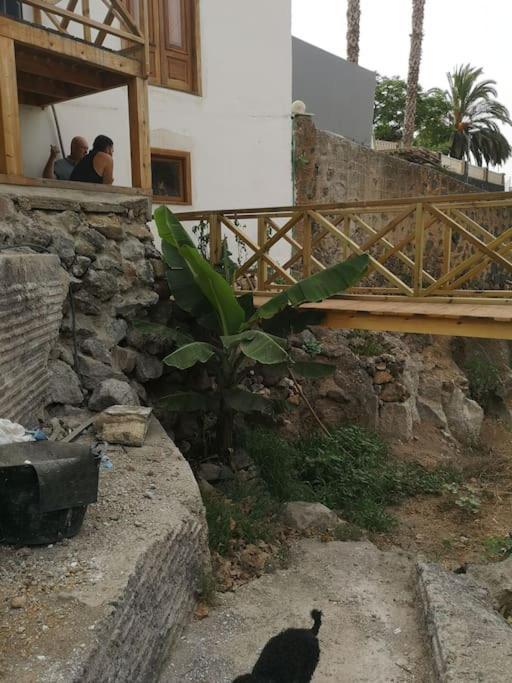 Souterrain Fuer Max 2 P., Bad, Aussenkueche, Garten Güimar Zewnętrze zdjęcie