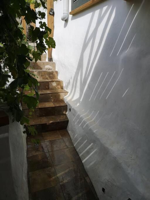 Souterrain Fuer Max 2 P., Bad, Aussenkueche, Garten Güimar Zewnętrze zdjęcie