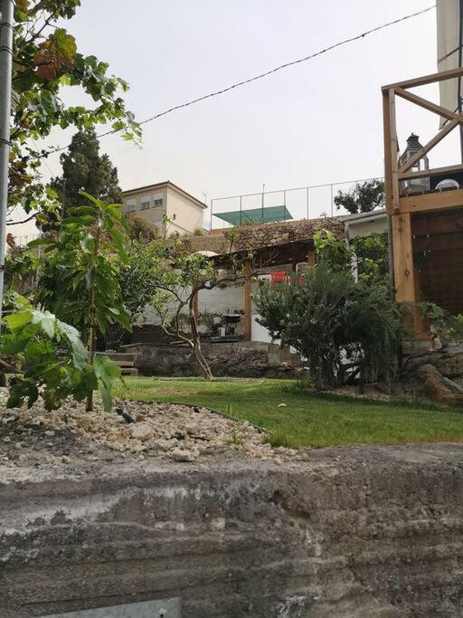 Souterrain Fuer Max 2 P., Bad, Aussenkueche, Garten Güimar Zewnętrze zdjęcie
