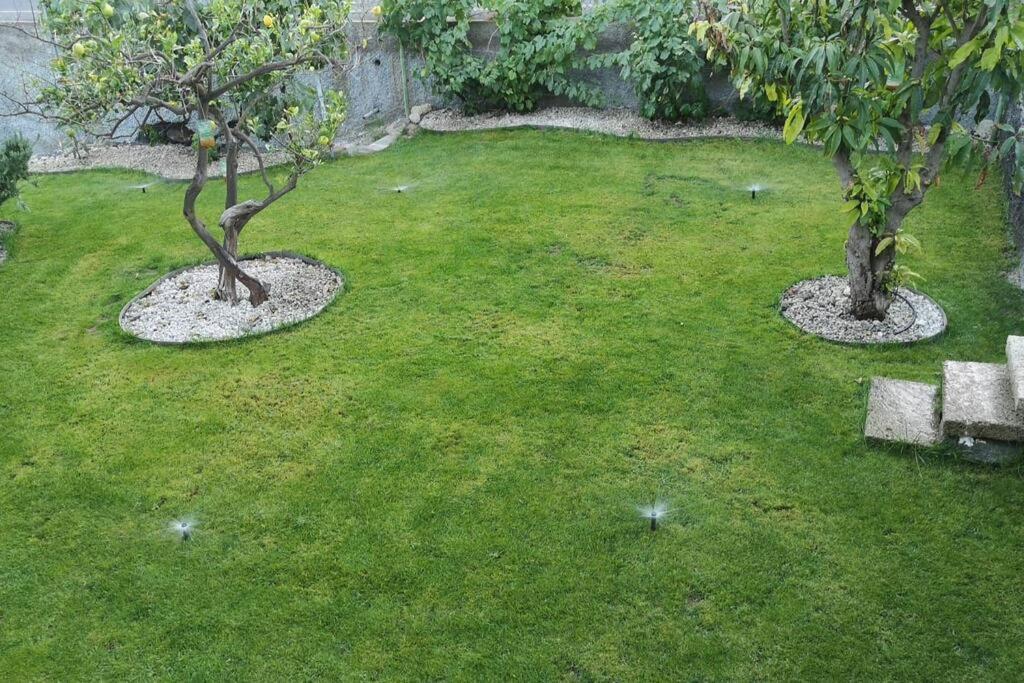 Souterrain Fuer Max 2 P., Bad, Aussenkueche, Garten Güimar Zewnętrze zdjęcie